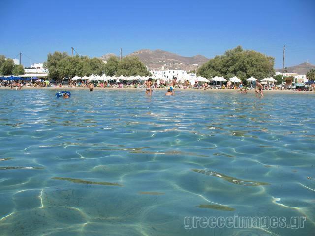 Naxos Edem Studios & Apartments Naxos City Dış mekan fotoğraf
